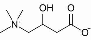 carnitina